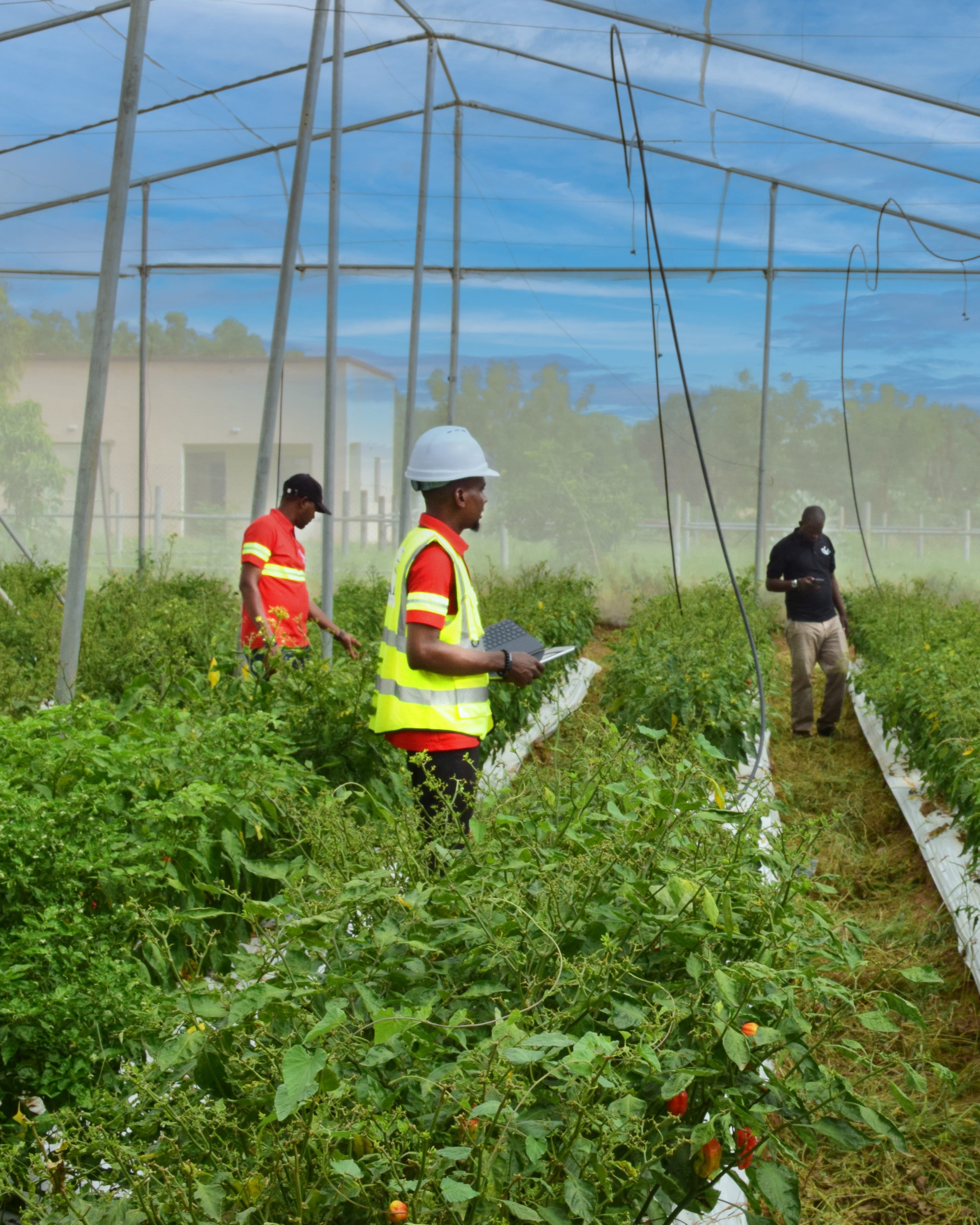 Abans realestate construction