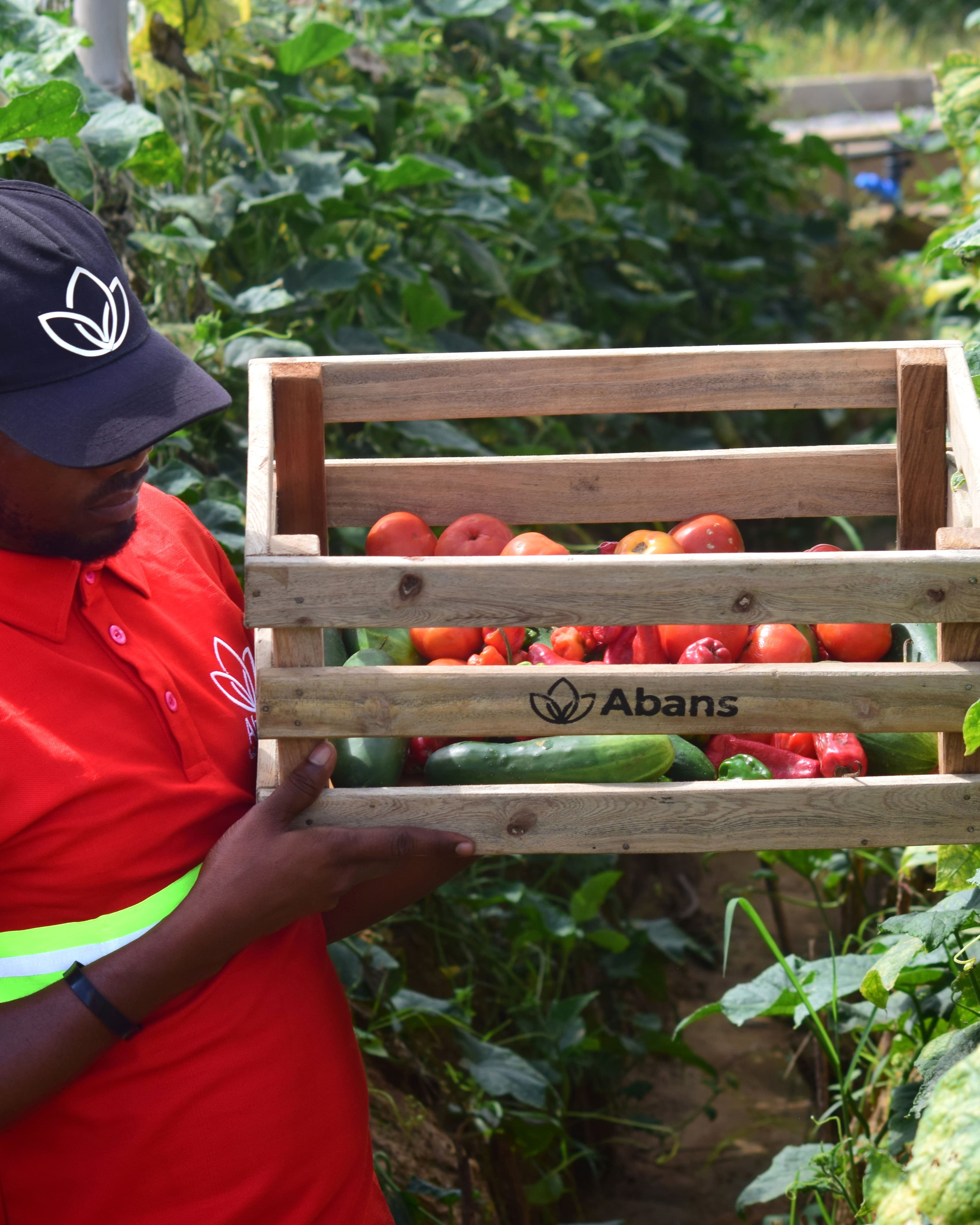 Abans realestate construction